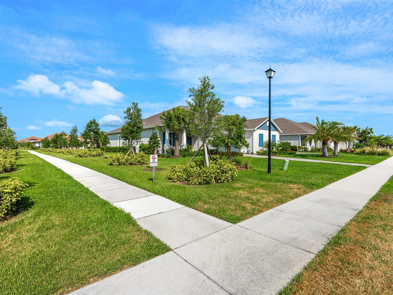 3039 Avalonia Drive