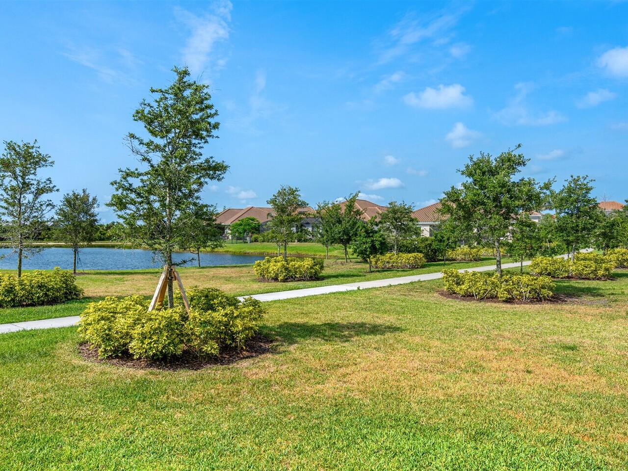 3039 Avalonia Drive