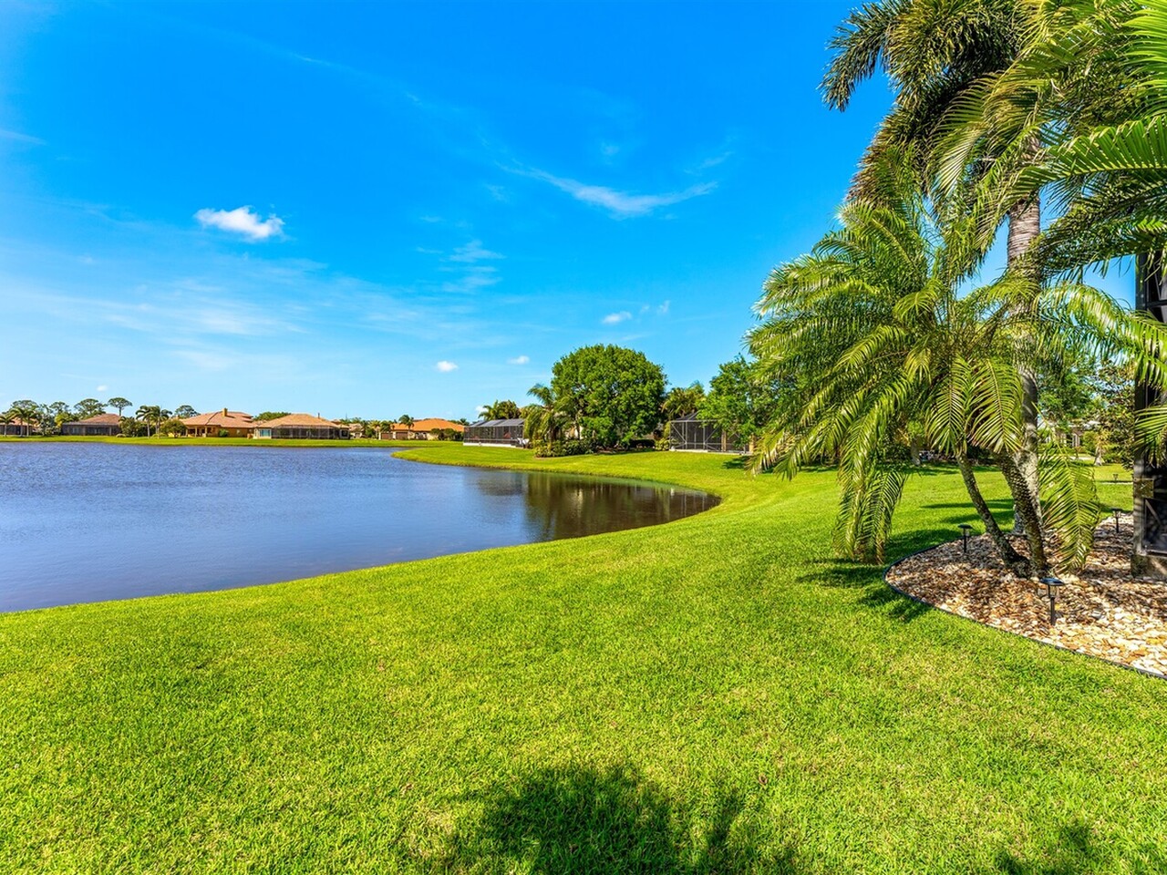 3599 Imperata Drive