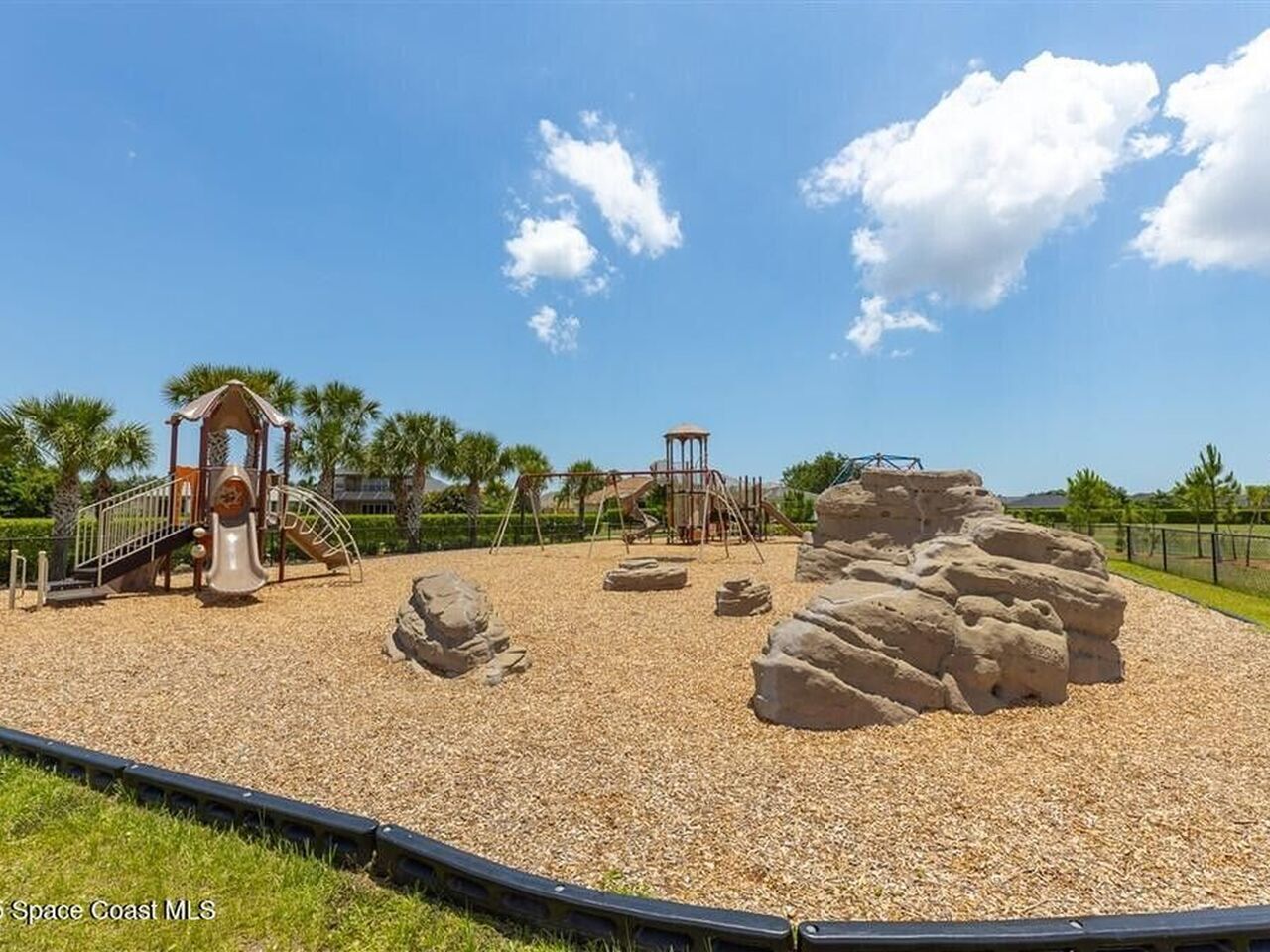 3599 Imperata Drive