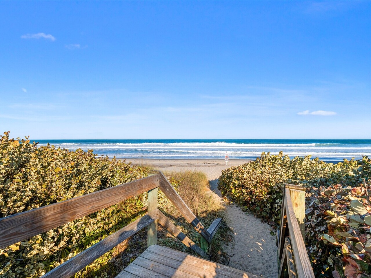 925 N Highway A1A #502
